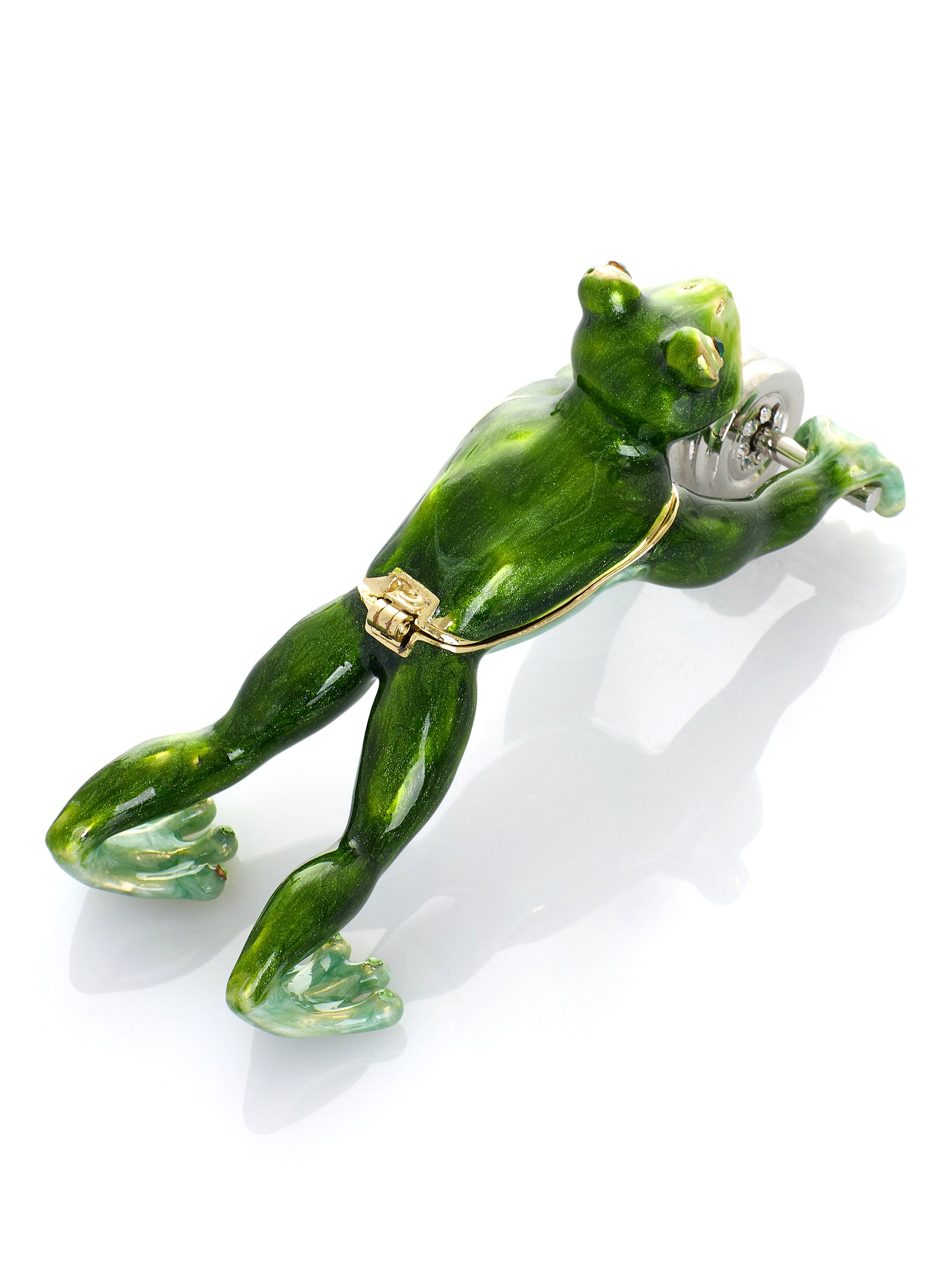 Frosch beim Training mit Ab-Roller Schmuckkästchen