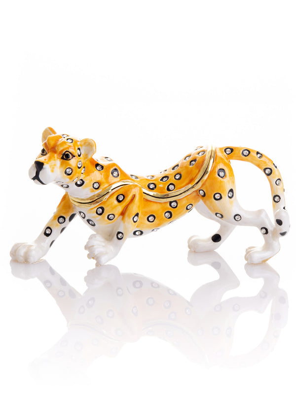 Cheetah on the Hunt